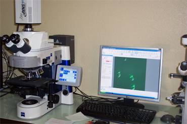 microscope axioimager M1 droit