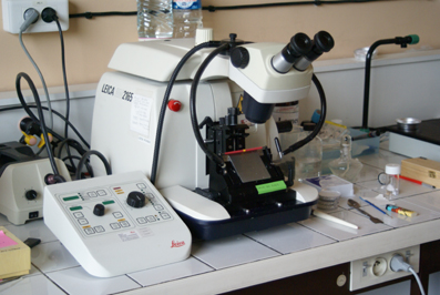  Microtome 2